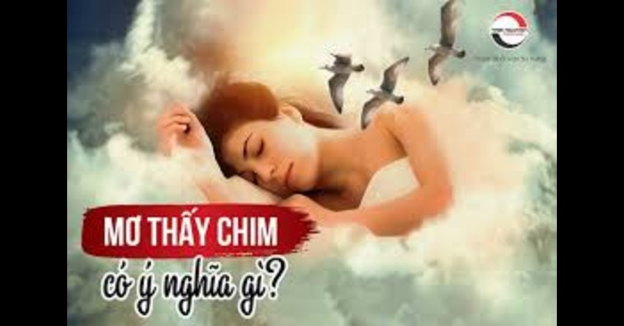 Giải Mã Giấc Mơ: Chiêm Bao Thấy Con Đà Điểu Có Niềm Báo Gì?